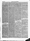 North British Agriculturist Wednesday 05 February 1862 Page 19