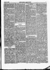 North British Agriculturist Wednesday 18 March 1863 Page 19