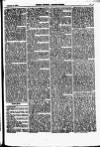 North British Agriculturist Wednesday 06 February 1867 Page 19