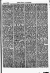 North British Agriculturist Wednesday 20 March 1867 Page 23