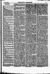 North British Agriculturist Wednesday 03 April 1867 Page 19