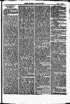 North British Agriculturist Wednesday 17 April 1867 Page 21