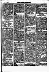 North British Agriculturist Wednesday 17 April 1867 Page 23