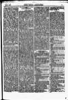 North British Agriculturist Wednesday 08 May 1867 Page 21