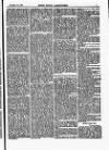 North British Agriculturist Wednesday 13 November 1867 Page 19