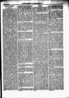 North British Agriculturist Wednesday 19 February 1868 Page 17