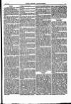 North British Agriculturist Wednesday 22 April 1868 Page 19