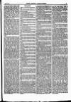 North British Agriculturist Wednesday 10 June 1868 Page 19