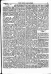 North British Agriculturist Wednesday 23 September 1868 Page 17