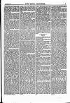 North British Agriculturist Wednesday 23 September 1868 Page 19