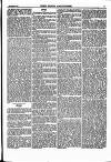 North British Agriculturist Wednesday 23 September 1868 Page 21