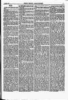 North British Agriculturist Wednesday 21 October 1868 Page 21