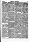 North British Agriculturist Wednesday 18 November 1868 Page 11