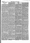 North British Agriculturist Wednesday 23 December 1868 Page 17