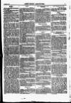 North British Agriculturist Wednesday 06 January 1869 Page 23