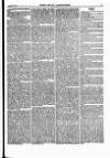 North British Agriculturist Wednesday 03 February 1869 Page 19