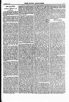 North British Agriculturist Wednesday 17 February 1869 Page 17