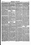 North British Agriculturist Wednesday 17 February 1869 Page 19