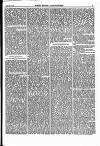 North British Agriculturist Wednesday 17 February 1869 Page 21