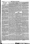 North British Agriculturist Wednesday 01 December 1869 Page 17