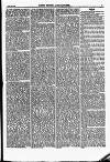 North British Agriculturist Wednesday 09 February 1870 Page 19