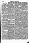 North British Agriculturist Wednesday 27 April 1870 Page 17