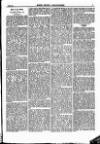 North British Agriculturist Wednesday 08 June 1870 Page 17