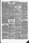 North British Agriculturist Wednesday 03 August 1870 Page 21