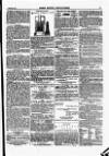 North British Agriculturist Wednesday 01 February 1871 Page 15