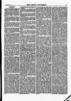 North British Agriculturist Wednesday 01 February 1871 Page 19