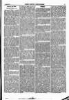 North British Agriculturist Wednesday 01 March 1871 Page 17