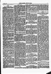 North British Agriculturist Wednesday 30 August 1871 Page 23