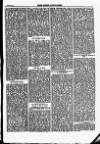 North British Agriculturist Wednesday 03 January 1872 Page 21