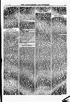 North British Agriculturist Wednesday 14 February 1872 Page 7