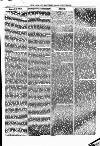 North British Agriculturist Wednesday 14 February 1872 Page 17