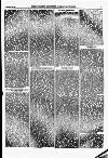 North British Agriculturist Wednesday 14 February 1872 Page 21