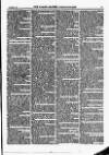 North British Agriculturist Wednesday 06 November 1872 Page 19