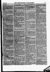 North British Agriculturist Wednesday 08 January 1873 Page 11