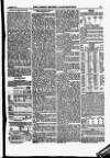 North British Agriculturist Wednesday 08 January 1873 Page 13