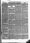 North British Agriculturist Wednesday 08 January 1873 Page 17