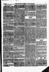 North British Agriculturist Wednesday 02 April 1873 Page 17