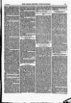 North British Agriculturist Wednesday 23 July 1873 Page 11