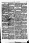 North British Agriculturist Wednesday 26 November 1873 Page 17