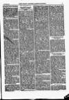 North British Agriculturist Wednesday 26 November 1873 Page 21