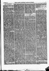 North British Agriculturist Wednesday 26 November 1873 Page 23