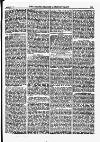 North British Agriculturist Wednesday 09 September 1874 Page 11