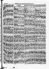 North British Agriculturist Wednesday 23 September 1874 Page 19