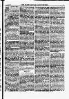 North British Agriculturist Wednesday 04 November 1874 Page 17