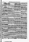 North British Agriculturist Wednesday 04 November 1874 Page 19