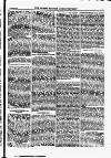 North British Agriculturist Wednesday 04 November 1874 Page 21